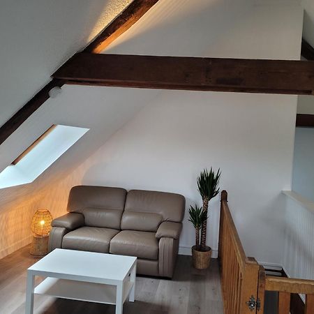 Appartement Avec Vue Sur Loire Blois Eksteriør billede