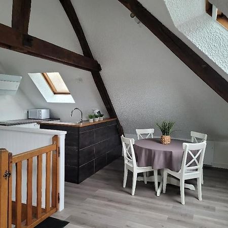 Appartement Avec Vue Sur Loire Blois Eksteriør billede