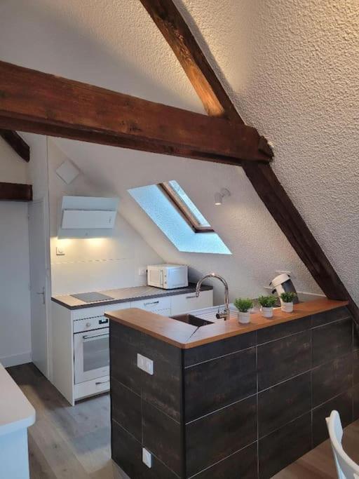 Appartement Avec Vue Sur Loire Blois Eksteriør billede