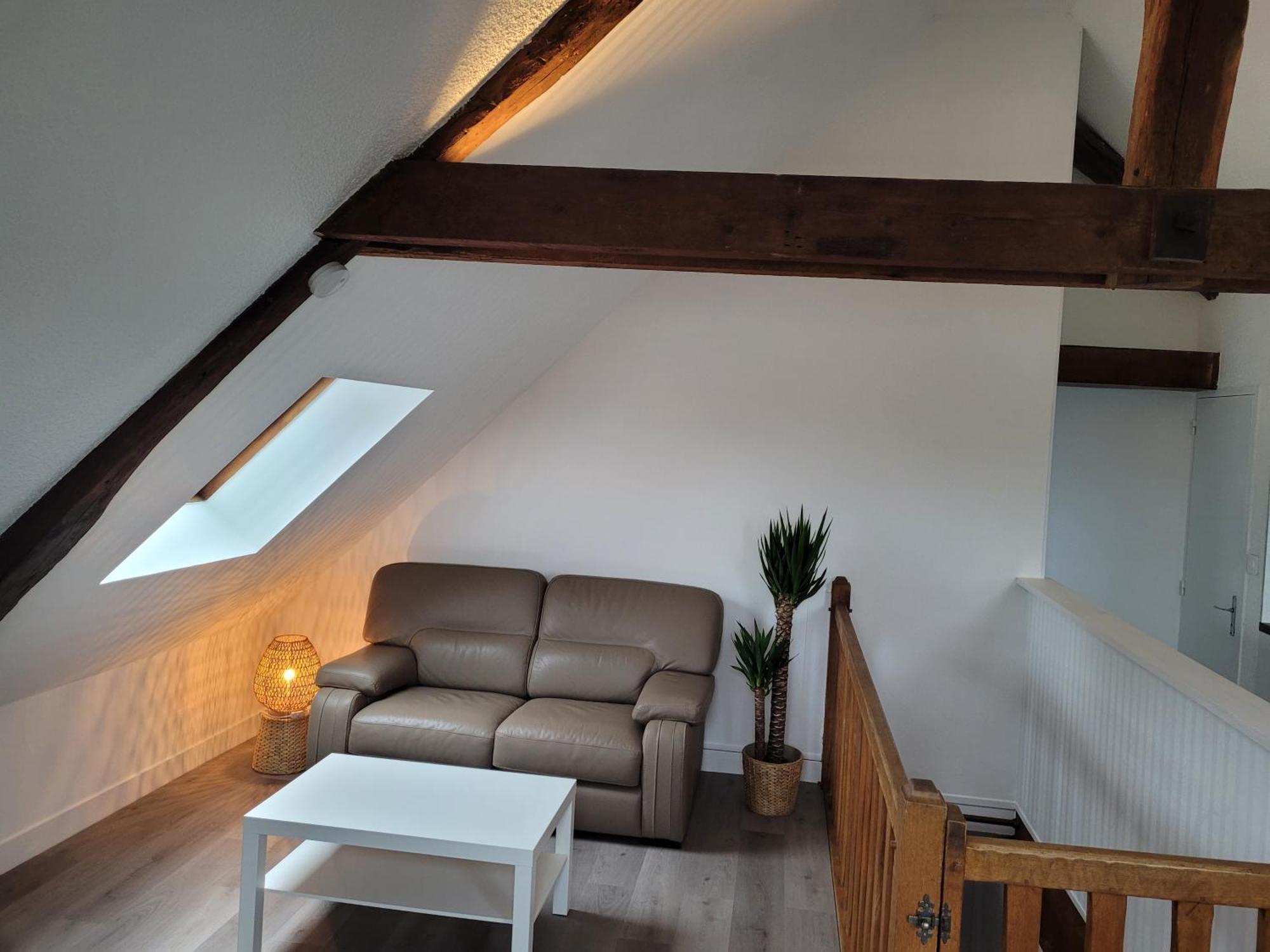 Appartement Avec Vue Sur Loire Blois Eksteriør billede