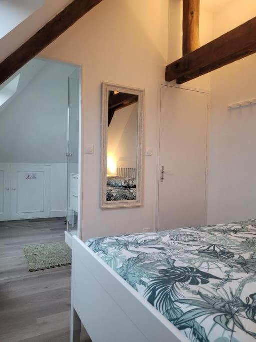 Appartement Avec Vue Sur Loire Blois Eksteriør billede
