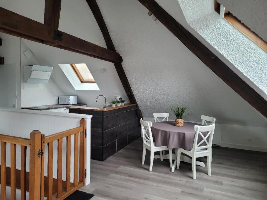 Appartement Avec Vue Sur Loire Blois Eksteriør billede