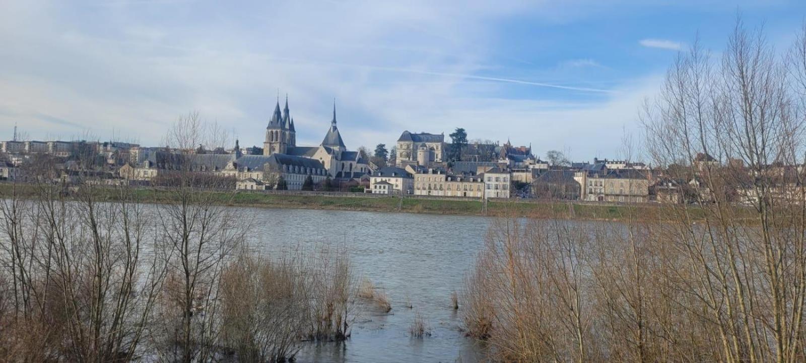 Appartement Avec Vue Sur Loire Blois Eksteriør billede